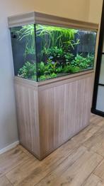 Aquatlantis Fusion 100 aquarium met véél extra's! Compleet!, Ophalen, Zo goed als nieuw, Gevuld zoetwateraquarium