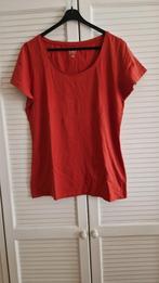 T Shirt Zeeman maat 46.., Kleding | Dames, Ophalen, Zeeman, Maat 46/48 (XL) of groter, Zo goed als nieuw