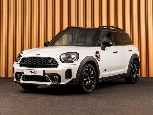 MINI Countryman 2.0 Cooper S E ALL4 Classic PANO-H/K-LEDER-H, Auto's, Mini, Bedrijf, Te koop, Countryman, 4x4, ABS, Achteruitrijcamera