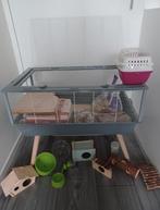 Hamsterkooi inclusief benodigdheden en reismand, Dieren en Toebehoren, Minder dan 60 cm, Kooi, Minder dan 75 cm, Ophalen of Verzenden