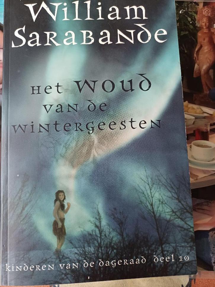 William sarabande:het woud van de wintergeesten.deel 10., Boeken, Romans, Gelezen, Ophalen