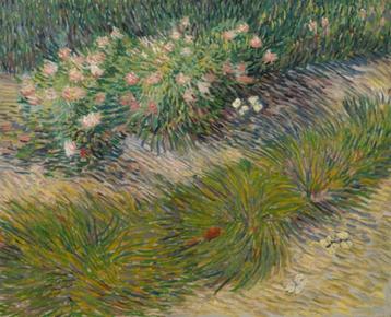 Tuin met vlinders - Van Gogh - 1887 beschikbaar voor biedingen