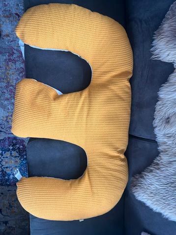 Tweelingkussen met hoes beschikbaar voor biedingen