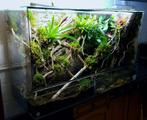 Prachtig terrarium 150x90x60 ddreptiles, Ophalen, Zo goed als nieuw