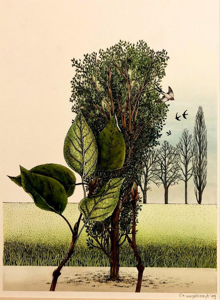 Prachtige illustratie van Guusje Kaayk 1979, Antiek en Kunst, Kunst | Tekeningen en Foto's, Ophalen