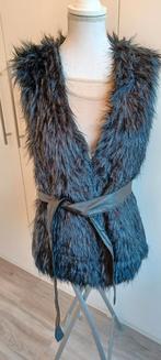 harig vestje, Kleding | Dames, Truien en Vesten, Ophalen of Verzenden, Zo goed als nieuw, Maat 42/44 (L), Zwart