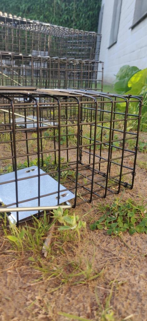 110 € VOOR SET VAN 4 VALLEN VOS MARTER RAT EKSTER, Dieren en Toebehoren, Knaagdieren en Konijnen | Hokken en Kooien, Nieuw, Kooi