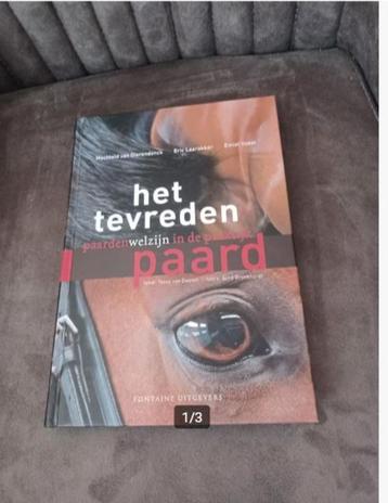 Het tevreden paard Machteld van dierendonck beschikbaar voor biedingen