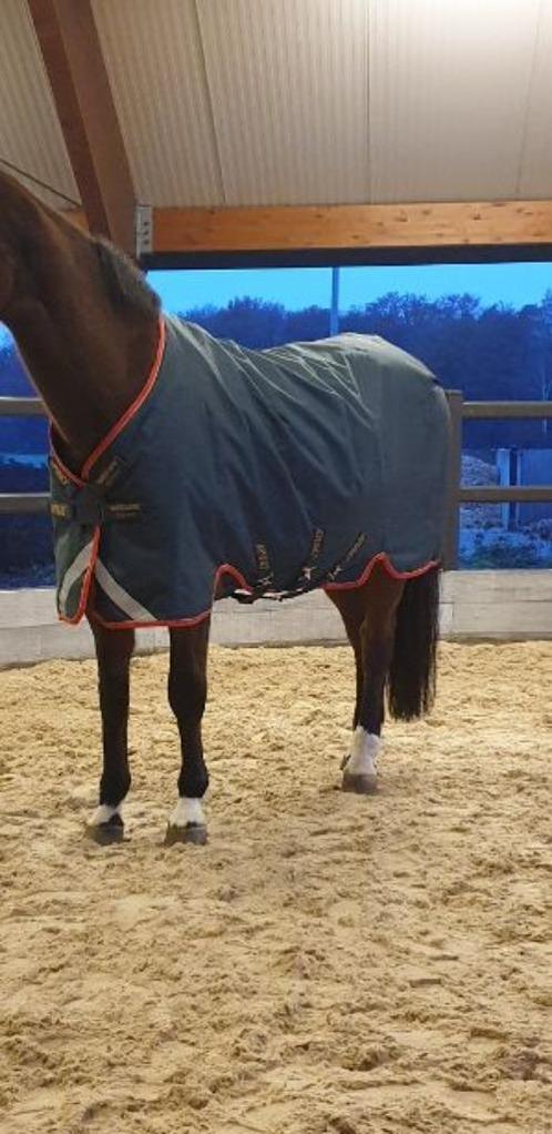 Amigo Bravo 12 plus 100 grams maat 205, Dieren en Toebehoren, Paarden en Pony's | Dekens en Dekjes, Zo goed als nieuw, Deken, Ophalen of Verzenden