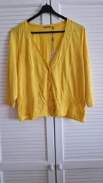 Sandwich Vest maat XXL, Kleding | Dames, Truien en Vesten, Ophalen, Geel, Maat 46/48 (XL) of groter, Nieuw