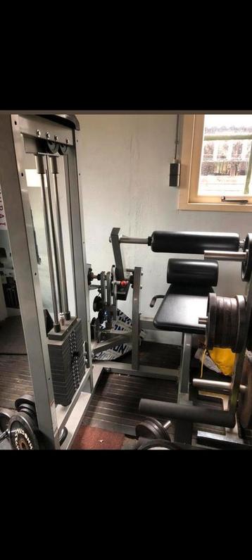 Life Fitness back extension / hyperextension machine.
 beschikbaar voor biedingen