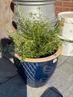 Bloem pot, Ophalen, Zo goed als nieuw, Rond, Minder dan 25 cm