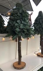 Echte Nobilis boompjes, Tuin en Terras, Planten | Bomen, Overige soorten, 100 tot 250 cm, Zomer, Ophalen