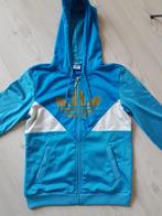 Adidas dames trainingsjack in size large, Kleding | Dames, Sportkleding, Ophalen of Verzenden, Zo goed als nieuw, Maat 42/44 (L)