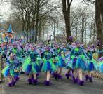 Grote loopgroep thema elfen en tovenaars, sprookje, carnaval, Ophalen of Verzenden