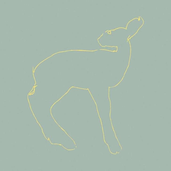 CD: Songs: Ohia (Jason Molina) – Hecla & Griper (ZGAN), Cd's en Dvd's, Cd's | Pop, Zo goed als nieuw, 2000 tot heden, Ophalen of Verzenden