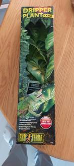 Dripperplant  kameleon, Ophalen of Verzenden, Zo goed als nieuw, Tak, Plant, Rots of Steen