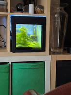 Aquarium, Dieren en Toebehoren, Ophalen