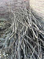 hout, Tuin en Terras, Haardhout, Minder dan 3 m³, Ophalen, Overige houtsoorten, Blokken