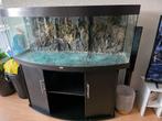 Juwel Vision 450 met onderkast., Dieren en Toebehoren, Ophalen, Gebruikt, Leeg aquarium