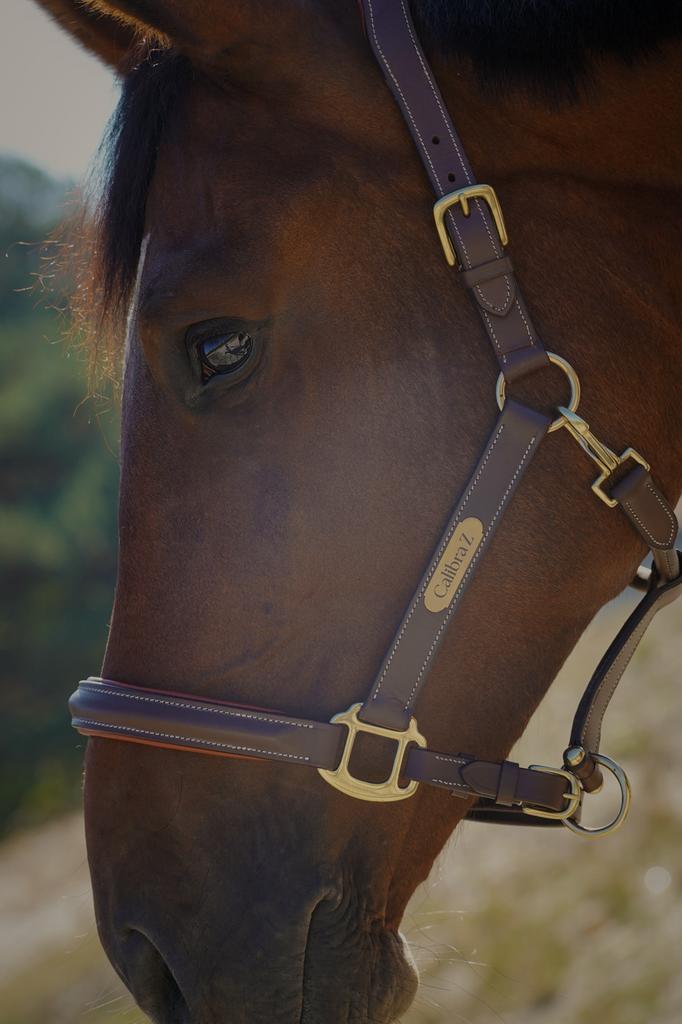 Bruin leren halster personaliseerd naamplaatje - anatomisch, Dieren en Toebehoren, Paarden en Pony's | Hoofdstellen en Tuigage