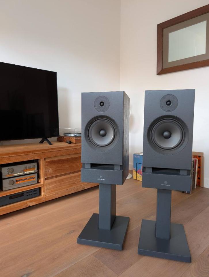 Linn Nexus LS 250 –High-End luidsprekers, Audio, Tv en Foto, Luidsprekers, Zo goed als nieuw, Front, Rear of Stereo speakers, 120 watt of meer
