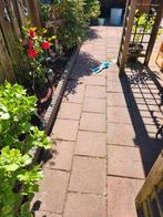 Stoeptegels rood en geel 60m2, Ophalen, Gebruikt, 10 m² of meer, Beton