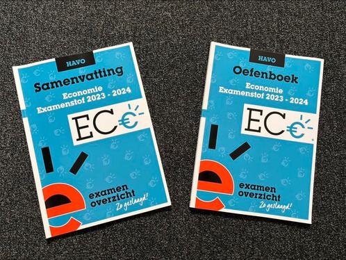 Examenoverzicht Economie samenvatting en oefenboek, Boeken, Schoolboeken, Gelezen, Economie, HAVO, Ophalen of Verzenden