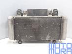 Radiateur voor de Kawasaki Ninja 300 2013 - 2017 ZX300 ZX 30, Gebruikt, -, -, Ophalen of Verzenden
