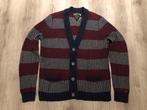 Tommy Hilfiger vest, Kleding | Heren, Truien en Vesten, Ophalen of Verzenden, Gedragen, Maat 56/58 (XL), Blauw