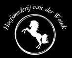 Hoefsmederij van der Woude, Diensten en Vakmensen, Dieren | Paarden | Verzorging, Oppas en Les