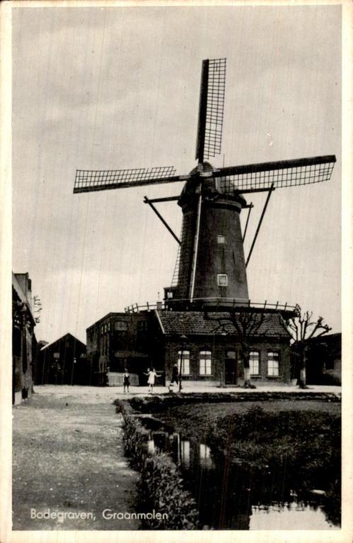 Bodegraven - Graanmolen - Molen, Verzamelen, Ansichtkaarten | Nederland, Ongelopen, Zuid-Holland, 1940 tot 1960, Ophalen of Verzenden