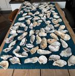 Oesterschelpen oesters, Hobby en Vrije tijd, Knutselen, Ophalen of Verzenden