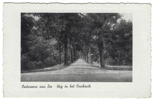 Oostvoorne aan Zee, Weg in het Overbosch, Verzamelen, Ansichtkaarten | Nederland, Ongelopen, Zuid-Holland, Voor 1920, Verzenden