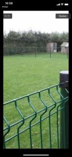 Gras/wei/bos gezocht voor 2 honden, Dieren en Toebehoren, Stalling en Weidegang