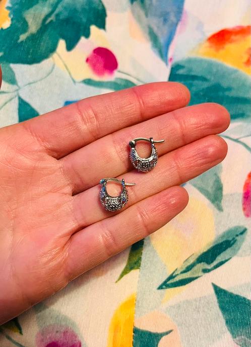 Oorbellen zilverkleurig Anna nina, Sieraden, Tassen en Uiterlijk, Oorbellen, Nieuw, Overige materialen, Ophalen of Verzenden