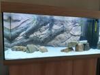 tk juwel rio 180(nieuwstaat), Dieren en Toebehoren, Vissen | Aquaria en Toebehoren, Ophalen, Nieuw, Gevuld zoetwateraquarium