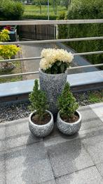 3 bloempotten, Ophalen of Verzenden, Rond, Minder dan 25 cm