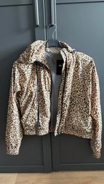 Hollister jas, Hollister, Ophalen of Verzenden, Zo goed als nieuw, Maat 38/40 (M)