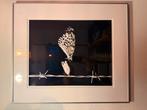 Kunstfoto Marjan Laaper ingelijst 2012 vlinder prikkeldraad, Ophalen of Verzenden