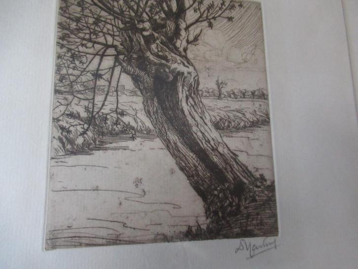 Dirk Harting, Antiek en Kunst, Kunst | Etsen en Gravures, Ophalen of Verzenden