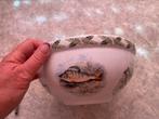 Portmeirion Compleat Angler grote schaal, Antiek en Kunst, Antiek | Servies los, Ophalen of Verzenden