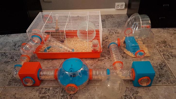 Hamsterkooi Ferplast met veel uitbreidingen, Dieren en Toebehoren, Knaagdieren en Konijnen | Hokken en Kooien, Gebruikt, Kooi