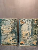 Schoolplaten Frederick Warne & Co. LTD R.B. Davis, Antiek en Kunst, Antiek | Schoolplaten, Ophalen of Verzenden, Natuur en Biologie