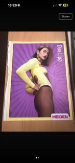 Dua Lipa en text Poster, Verzamelen, Rechthoekig Staand, A4 of kleiner, Ophalen of Verzenden, Zo goed als nieuw