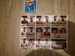 Panini wk 1998 Iran sheet stickers, Verzamelen, Sportartikelen en Voetbal, Ophalen of Verzenden, Zo goed als nieuw, Buitenlandse clubs