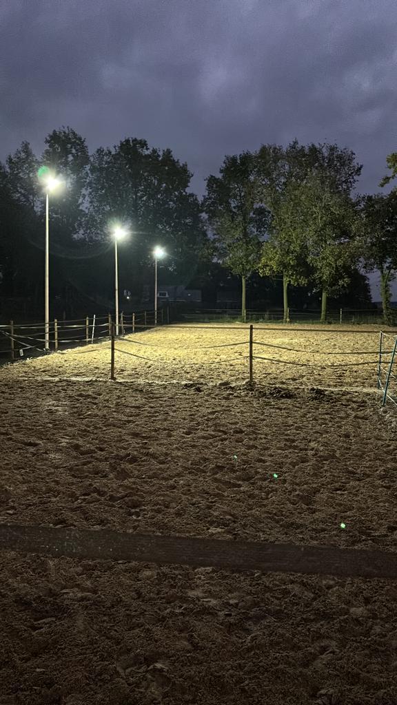 Gezellige stal heeft plek vrij, Dieren en Toebehoren, Stalling en Weidegang, Stalling, Weidegang, 1 paard of pony