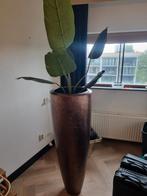 Grote Maduc Vaas - 130cm Hoog, Huis en Inrichting, Woonaccessoires | Vazen, Ophalen, Overige materialen, Overige kleuren, Nieuw