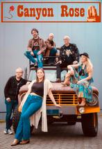 Gezocht violist, banjo, pedalsteel Americanaband, Muziek en Instrumenten, Snaarinstrumenten | Banjo's, Ophalen of Verzenden