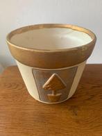 Bloempot met 'Gouden Kerstboom' Nieuw, Diversen, Kerst, Ophalen of Verzenden, Nieuw